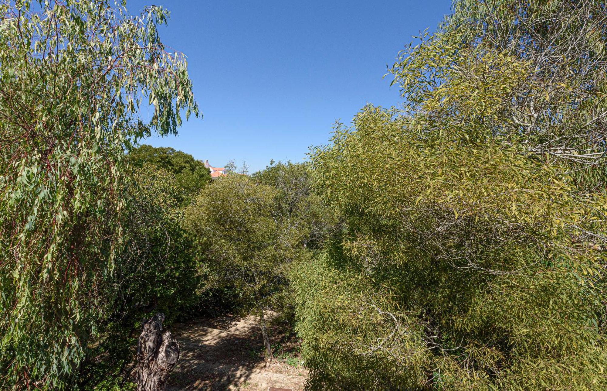 Quinta De Sao Pedro Βίλα Sobreda Εξωτερικό φωτογραφία