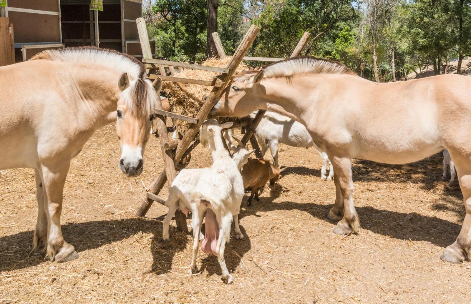 Quinta De Sao Pedro Βίλα Sobreda Εξωτερικό φωτογραφία