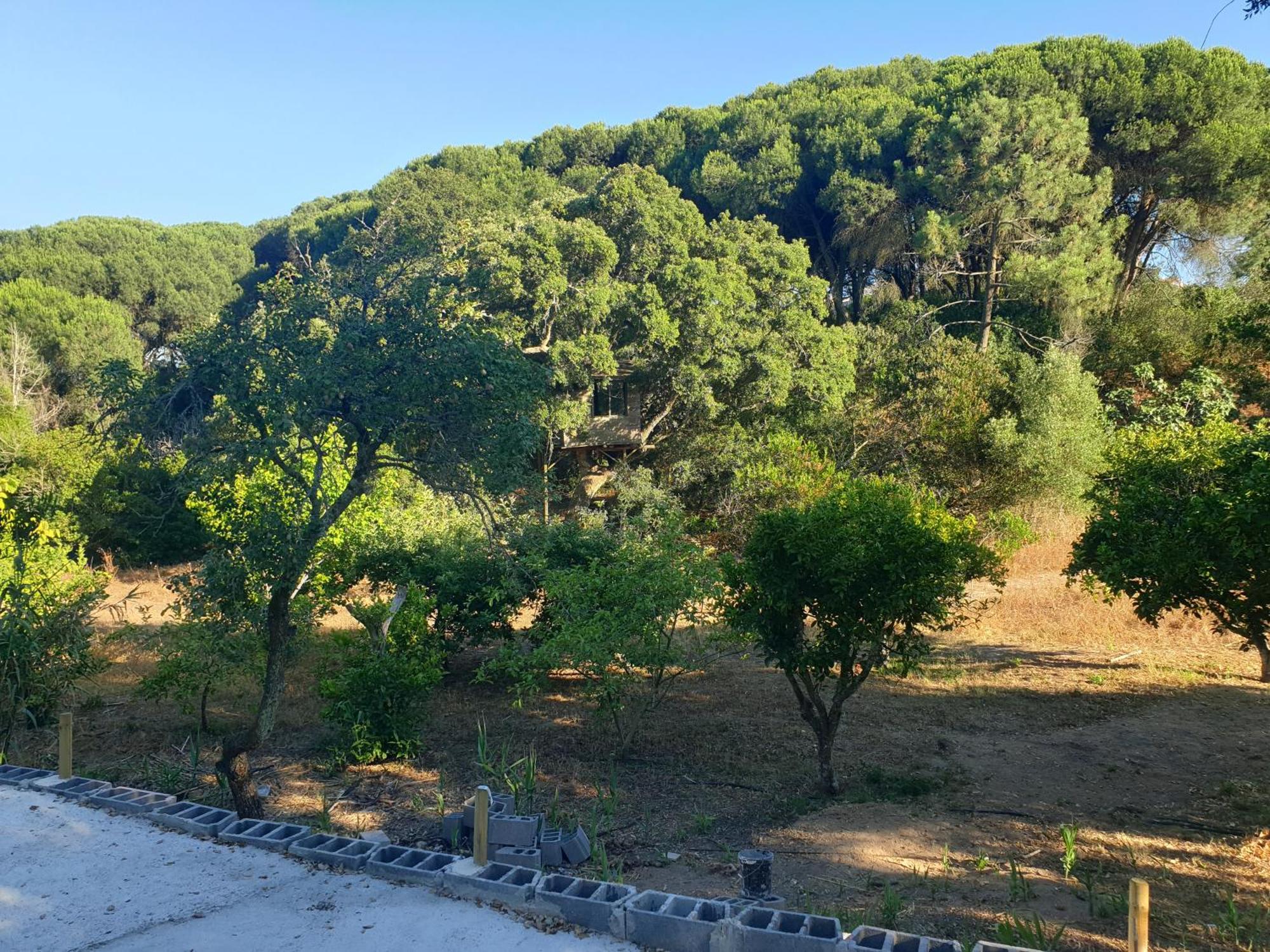 Quinta De Sao Pedro Βίλα Sobreda Εξωτερικό φωτογραφία